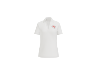 Ladies Silk Touch Performance Polo 