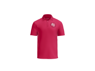 Mens Silk Touch Performance Polo 